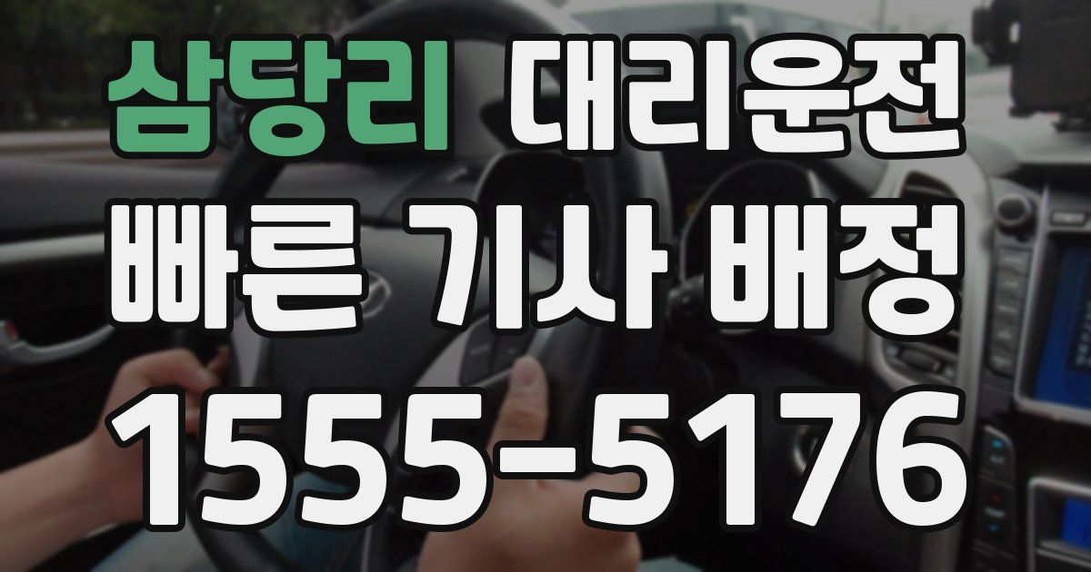 일일대리기사