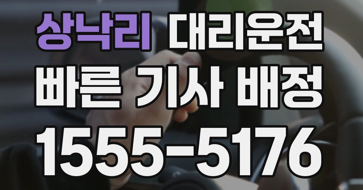 일일대리기사