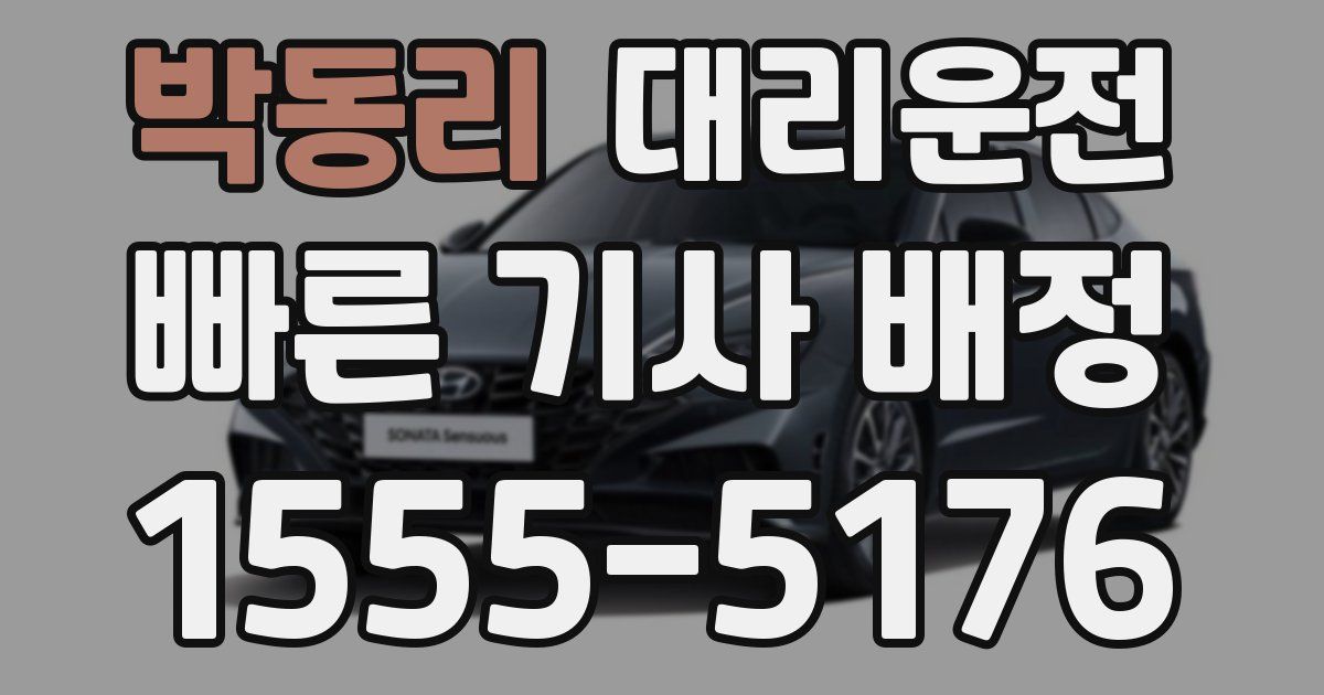 일일대리기사