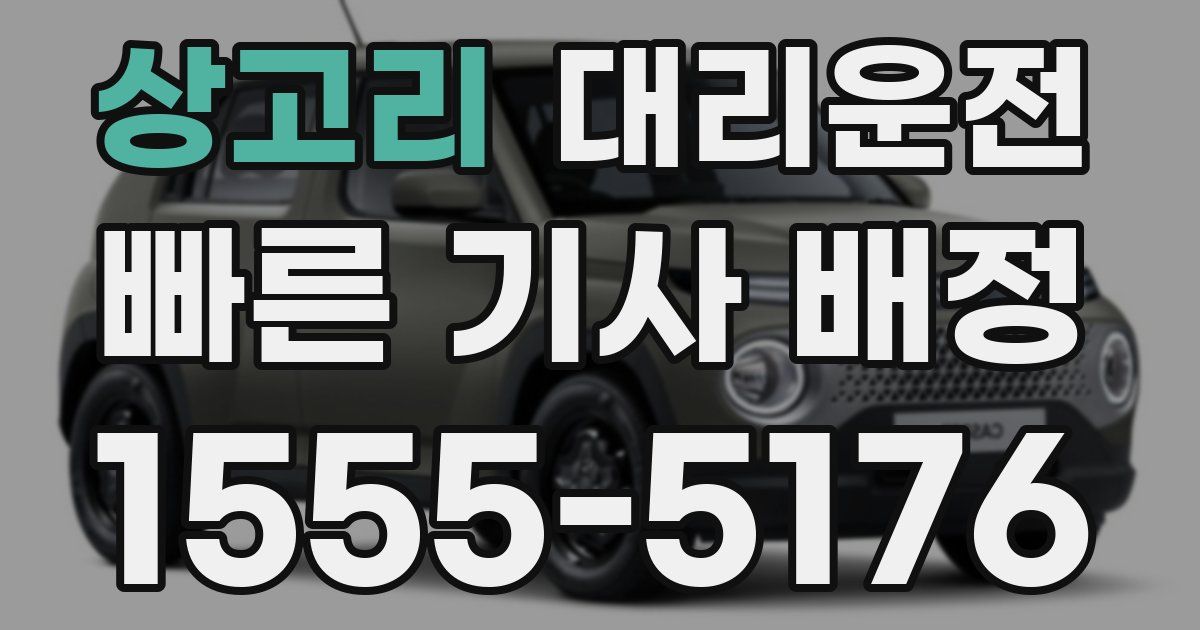 일일대리기사