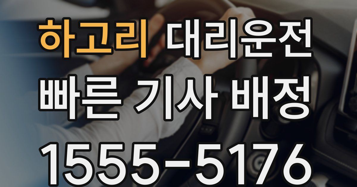 일일대리기사