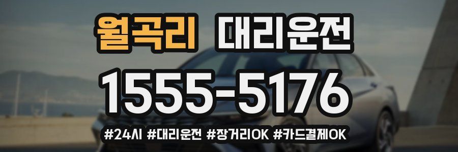 월곡리 대리운전