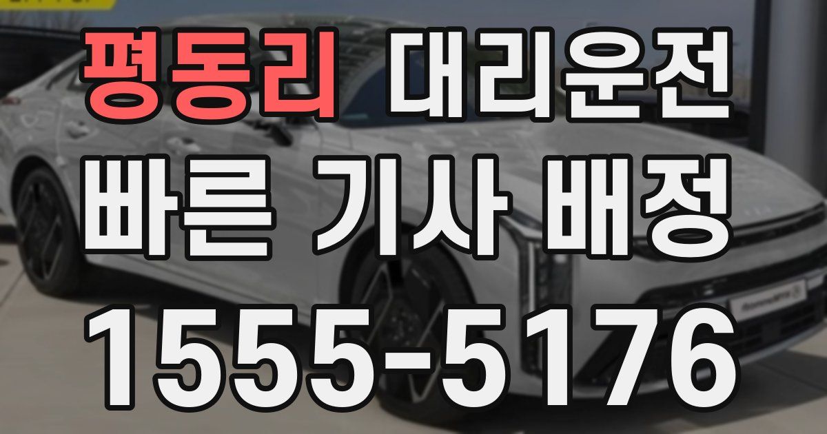 일일대리기사