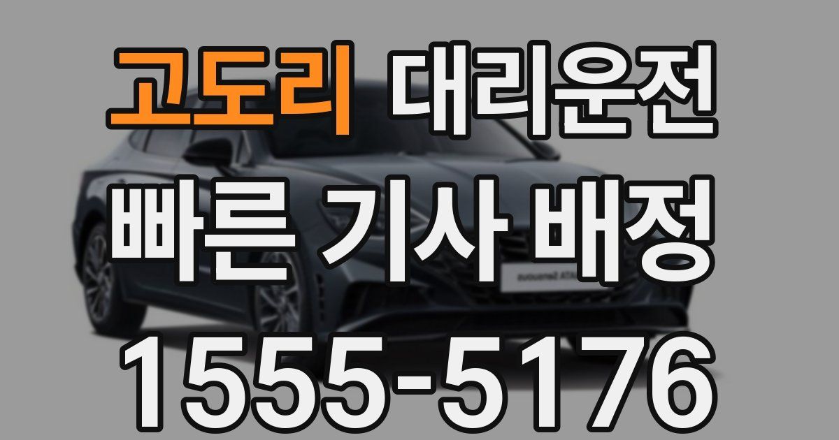 일일대리기사