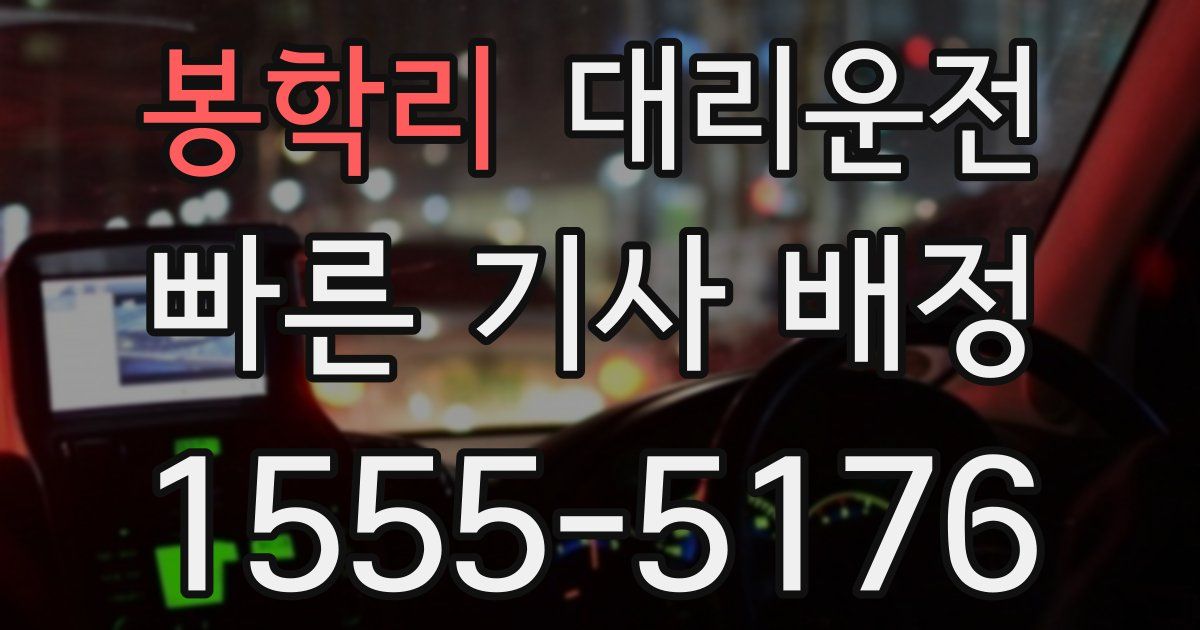 일일대리기사