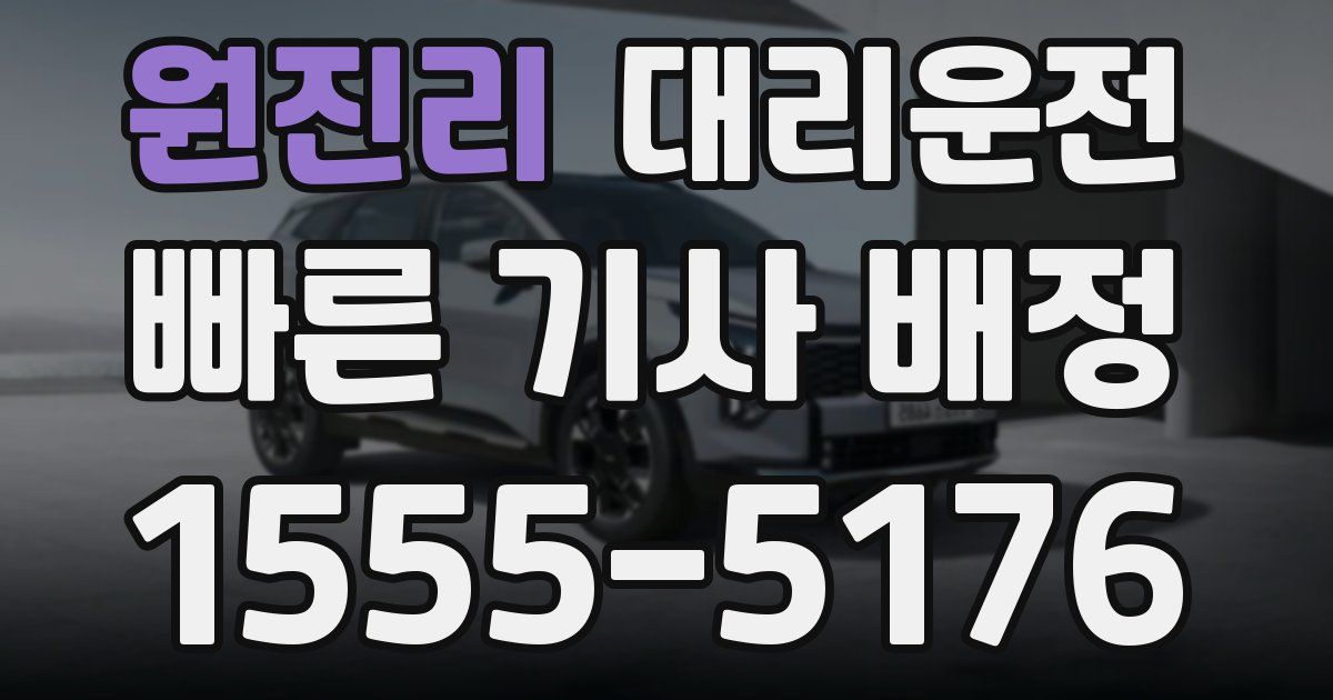 일일대리기사