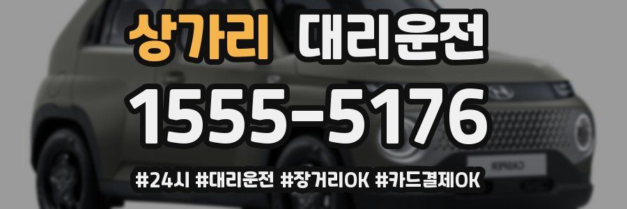 상가리 대리운전
