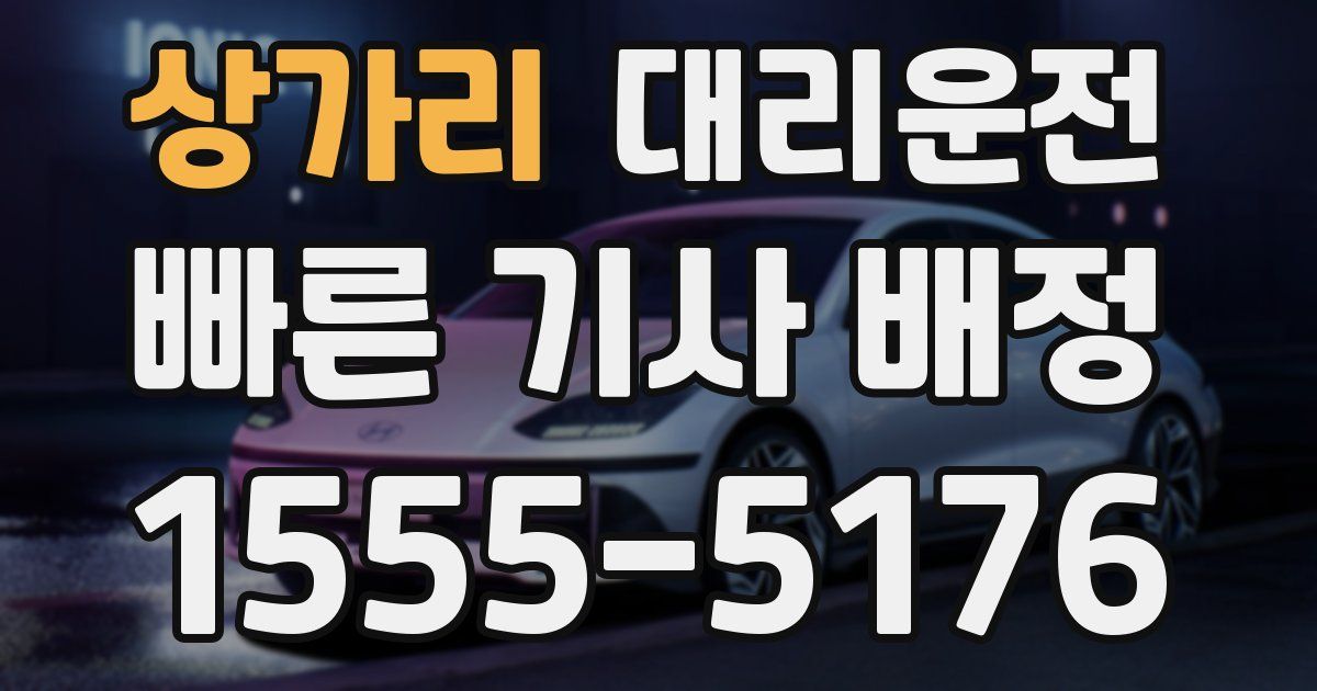 일일대리기사