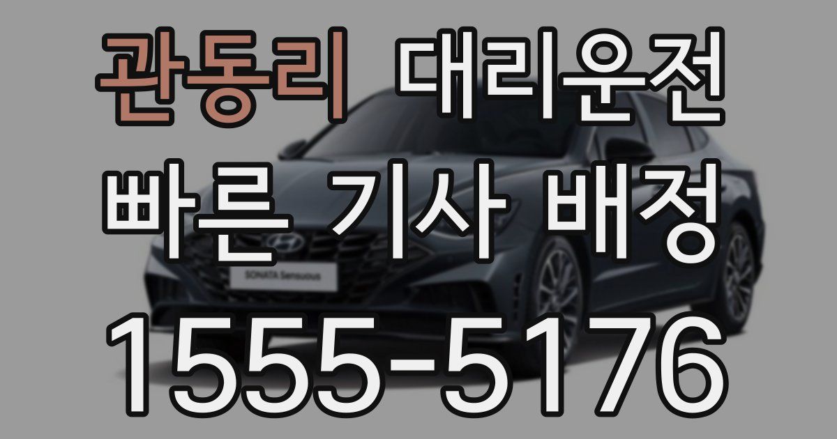 일일대리기사
