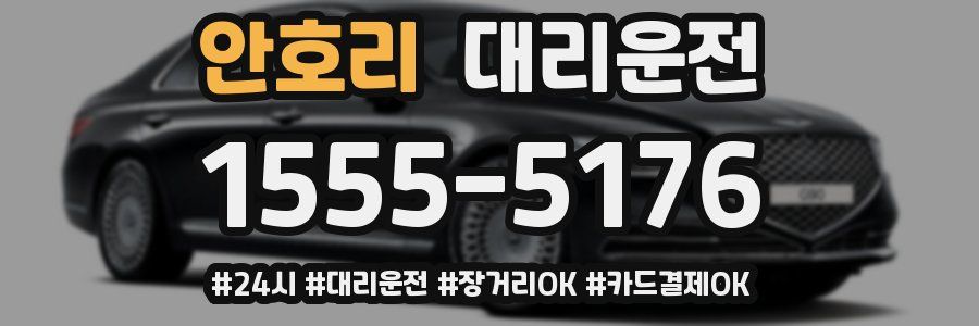 안호리 대리운전