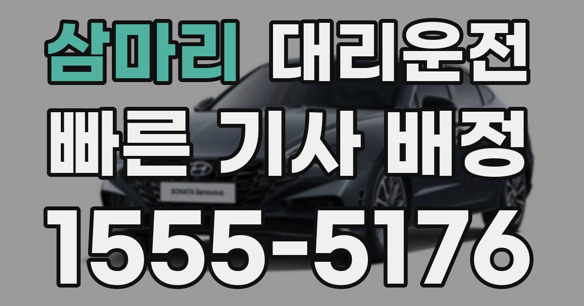 일일대리기사
