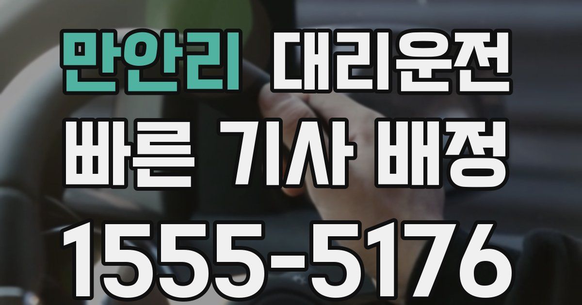 일일대리기사