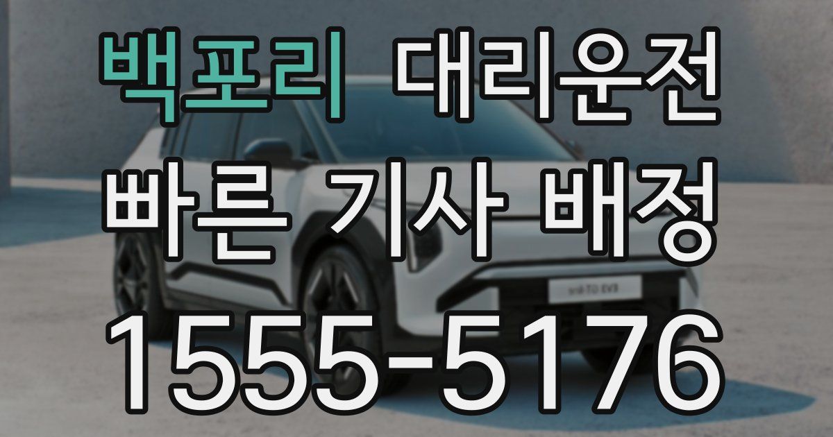 일일대리기사