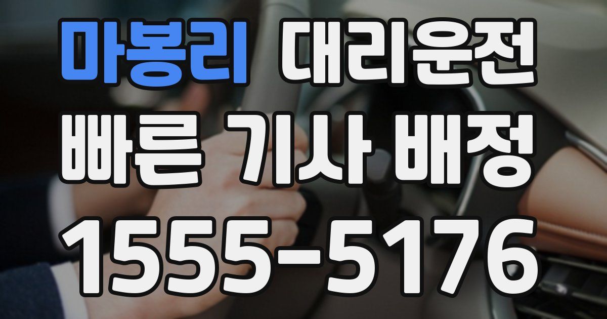 일일대리기사