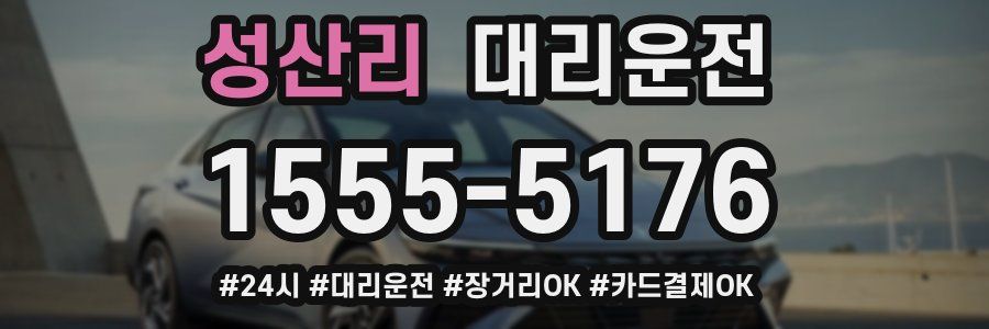 성산리 대리운전