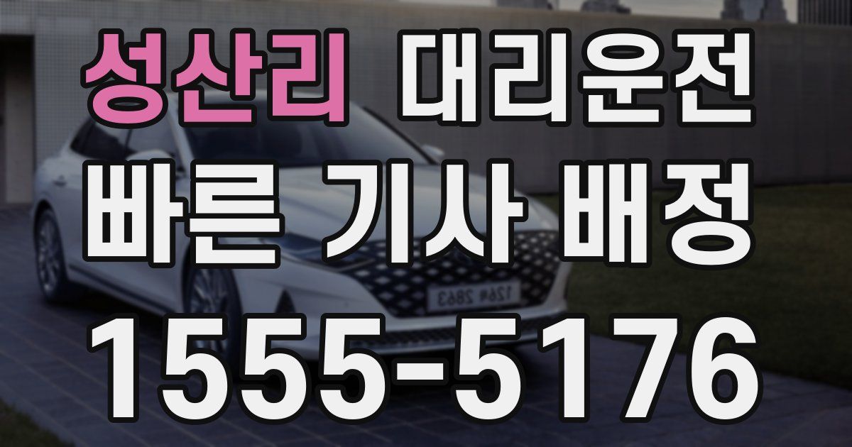 일일대리기사