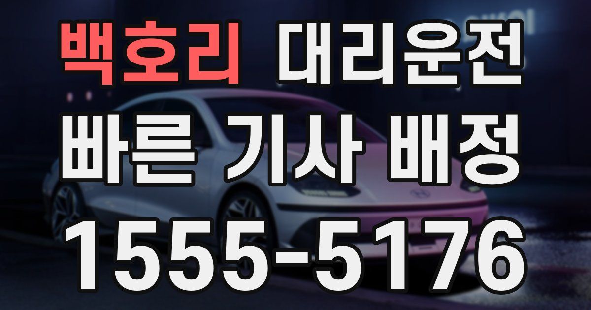 일일대리기사