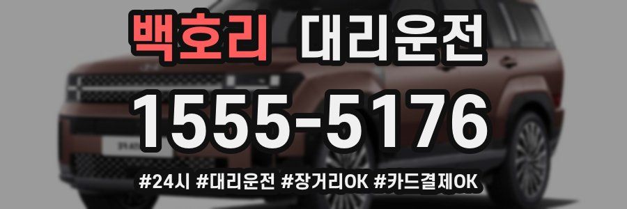 백호리 대리운전