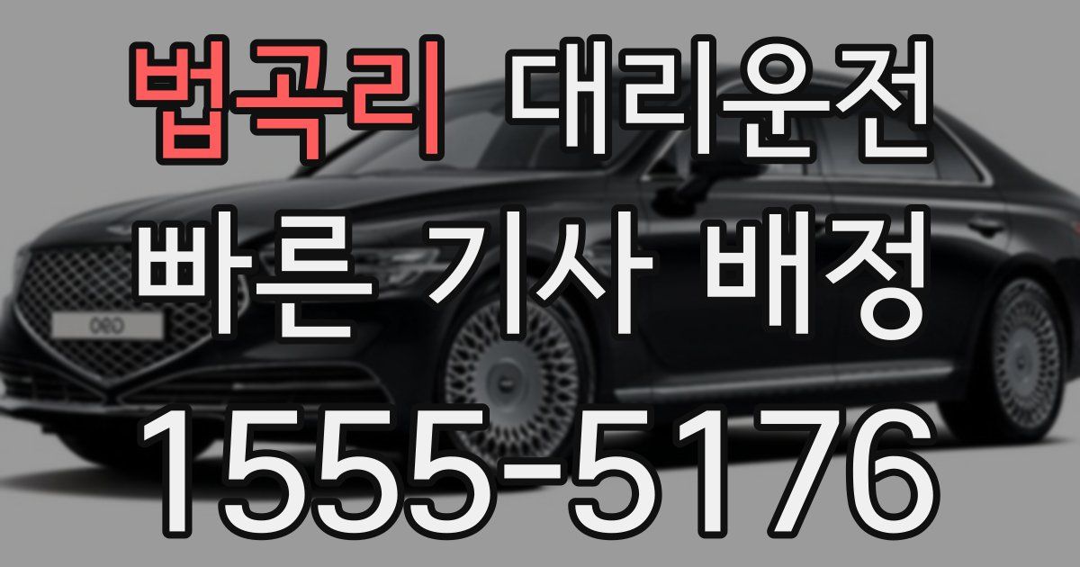 일일대리기사