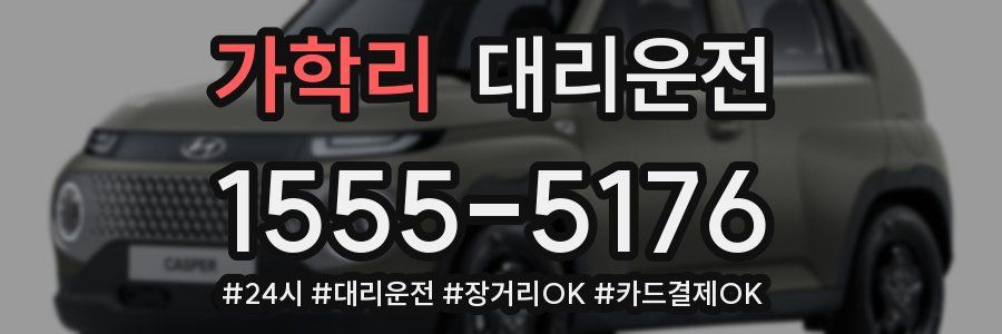 가학리 대리운전