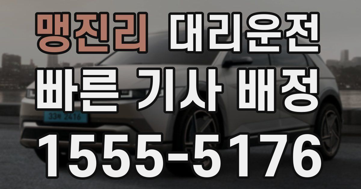 일일대리기사