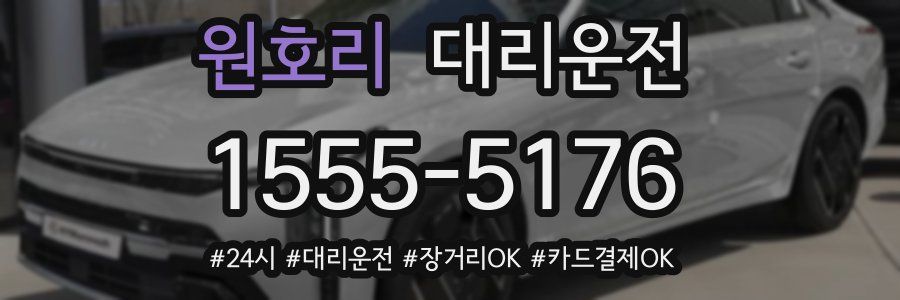 원호리 대리운전