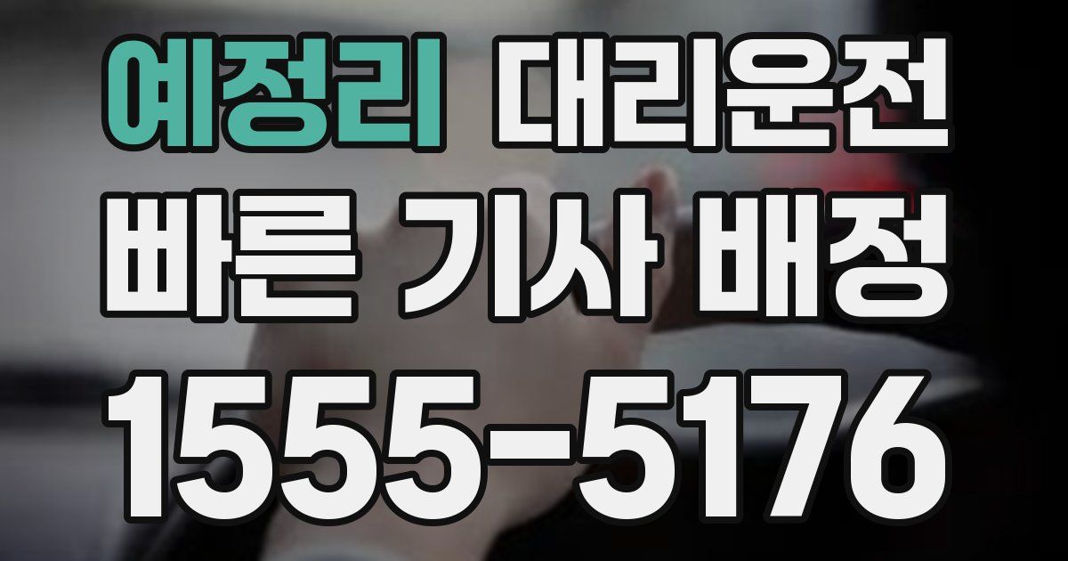 일일대리기사