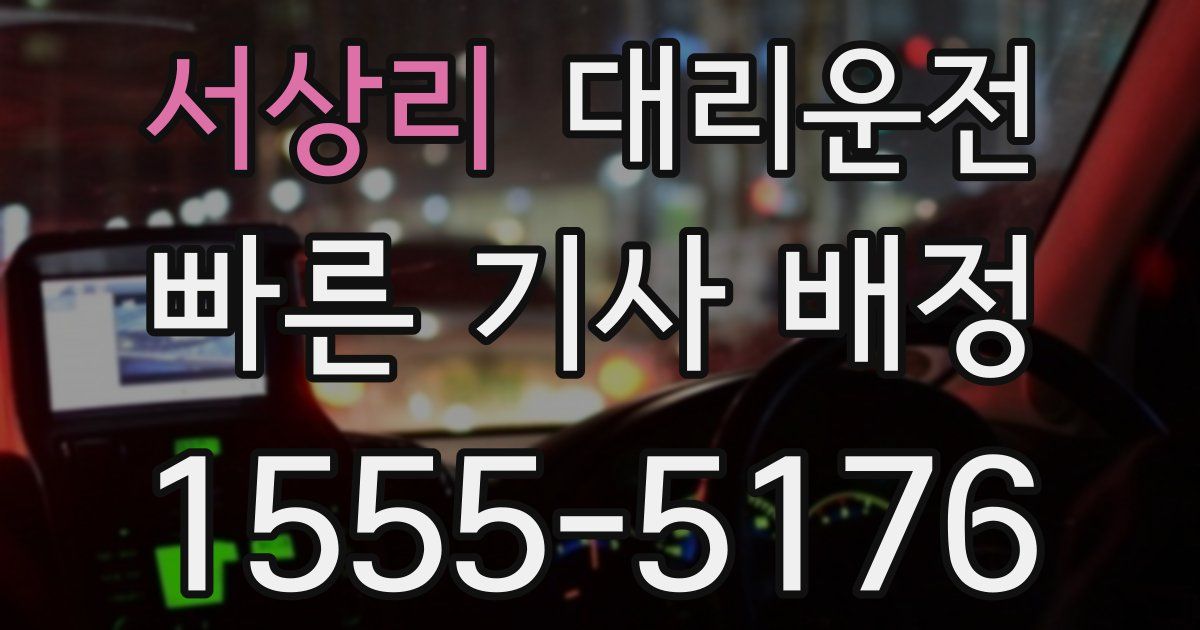 일일대리기사