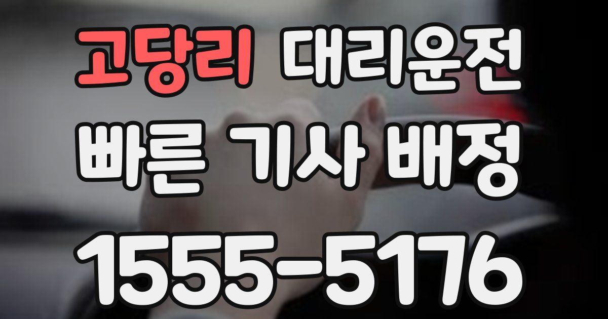 일일대리기사