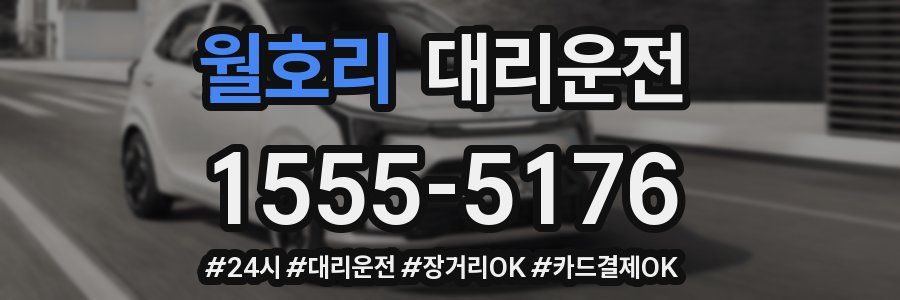 월호리 대리운전