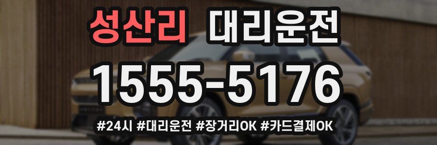 성산리 대리운전