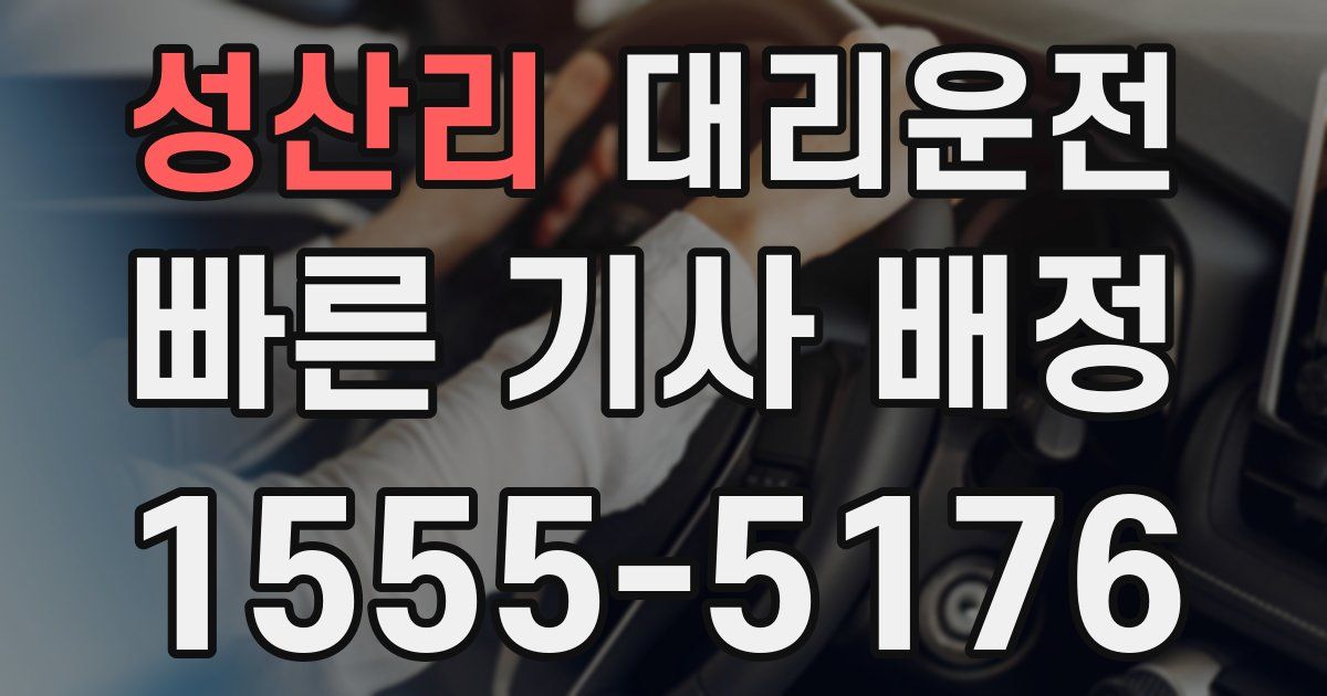 일일대리기사