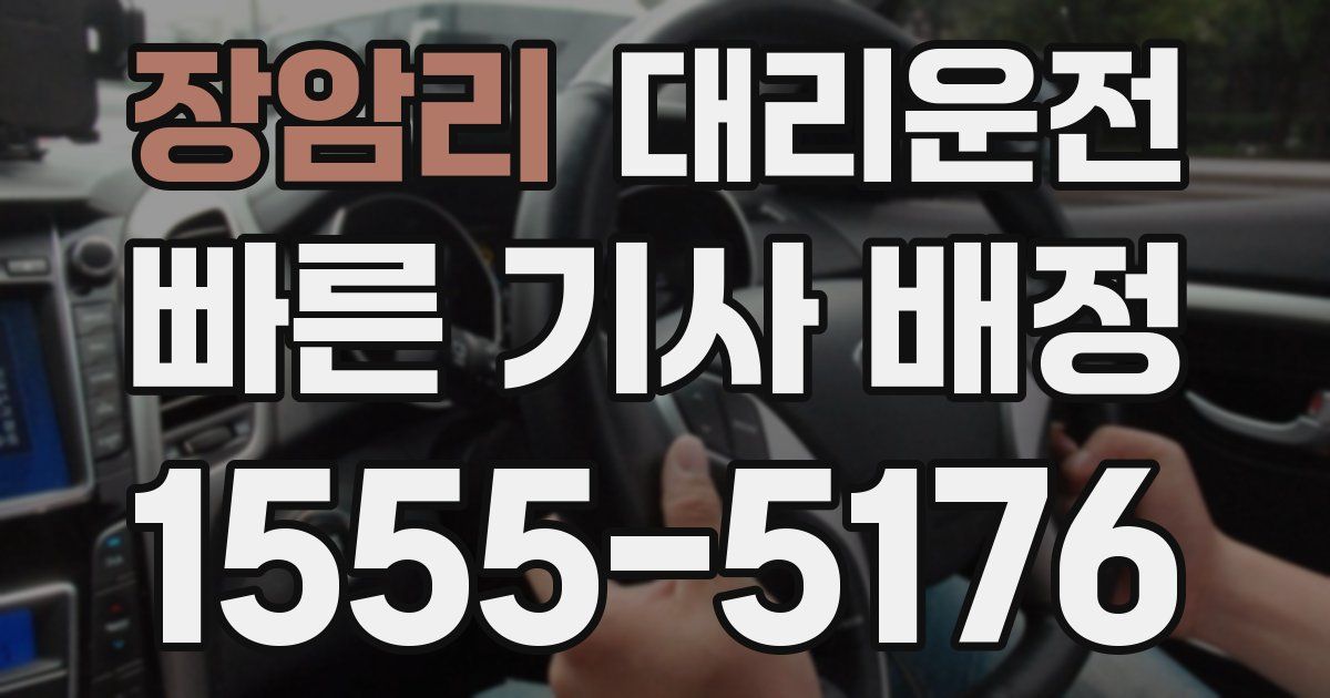 일일대리기사