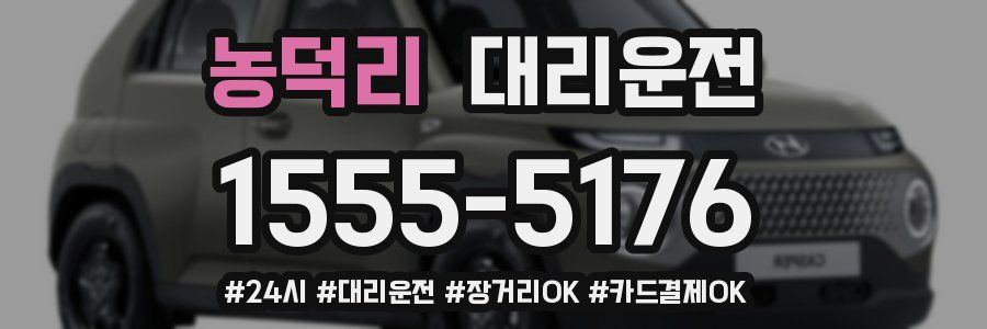 농덕리 대리운전