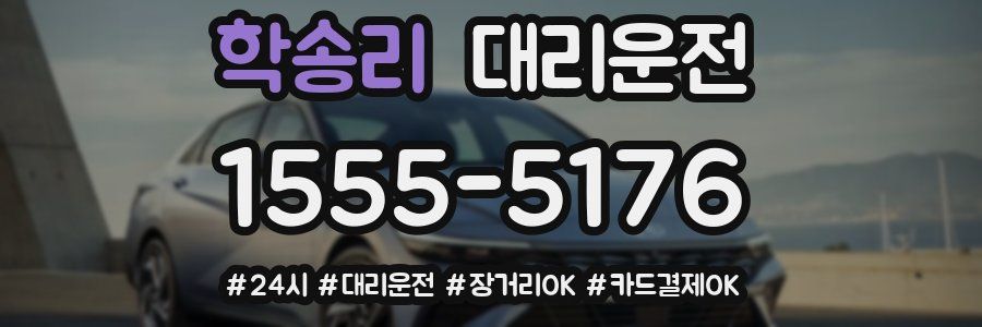 학송리 대리운전