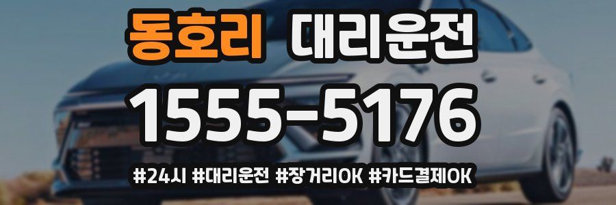 동호리 대리운전