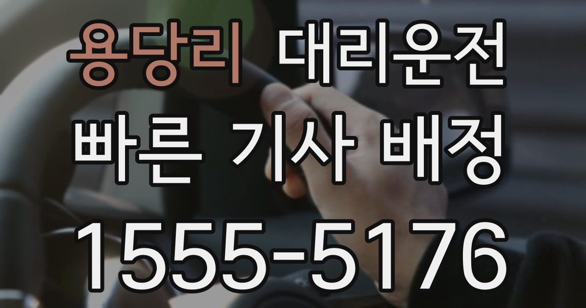 일일대리기사