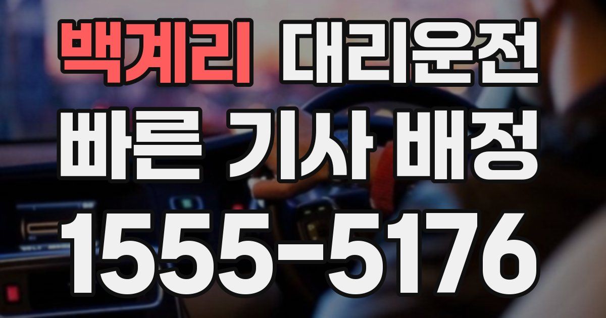 일일대리기사