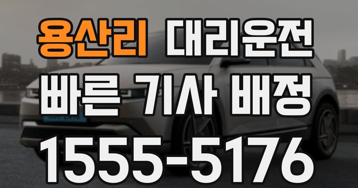 일일대리기사