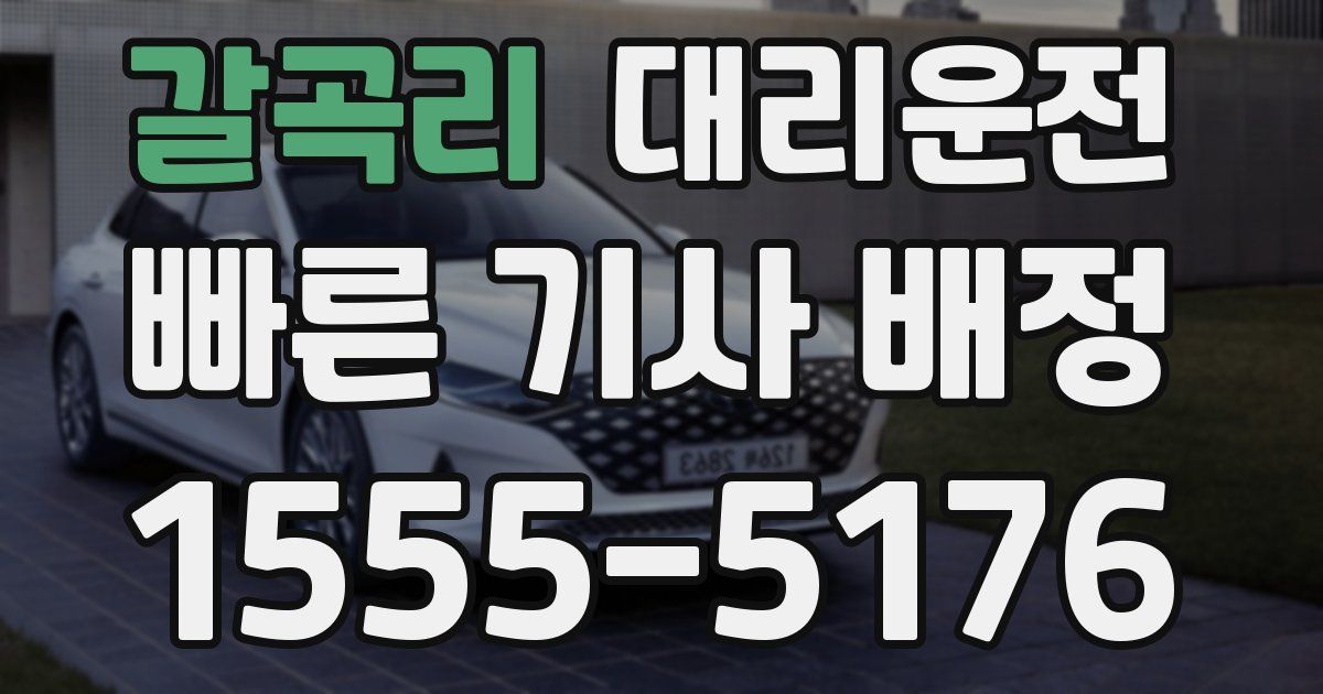 일일대리기사