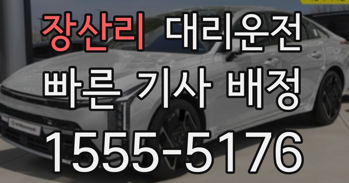 일일대리기사