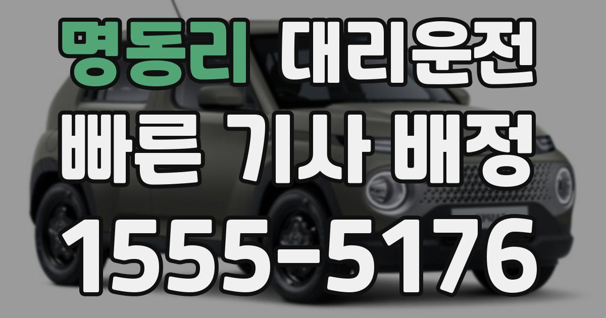 일일대리기사