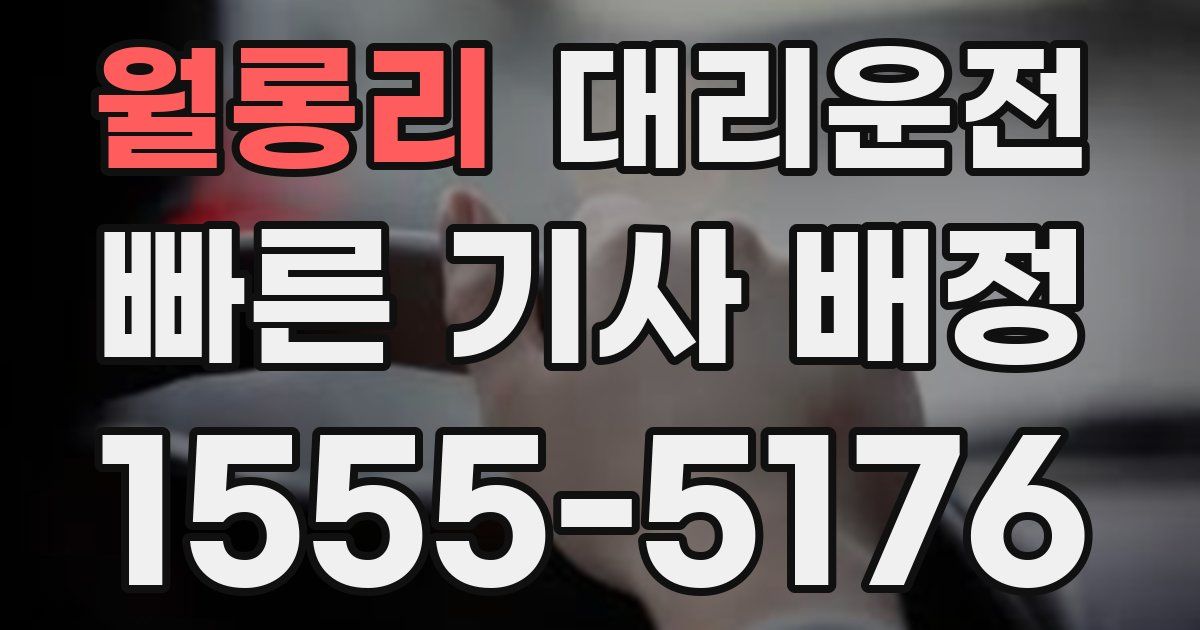 일일대리기사