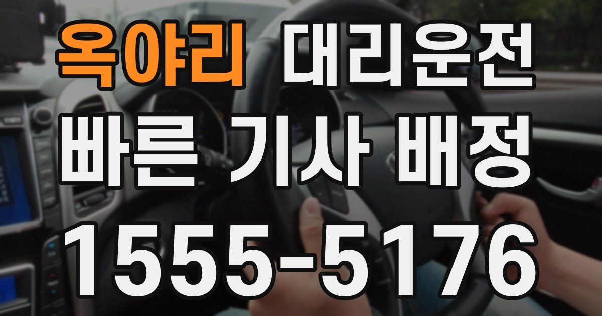 일일대리기사