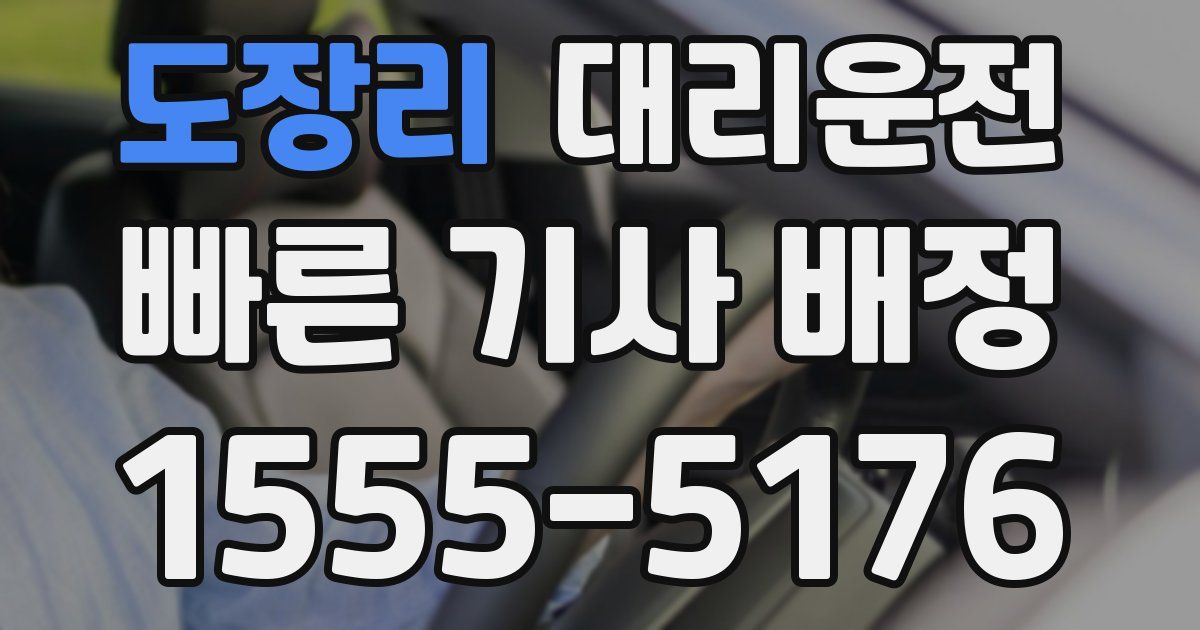 일일대리기사