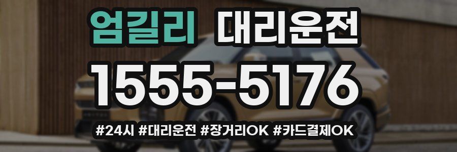 엄길리 대리운전