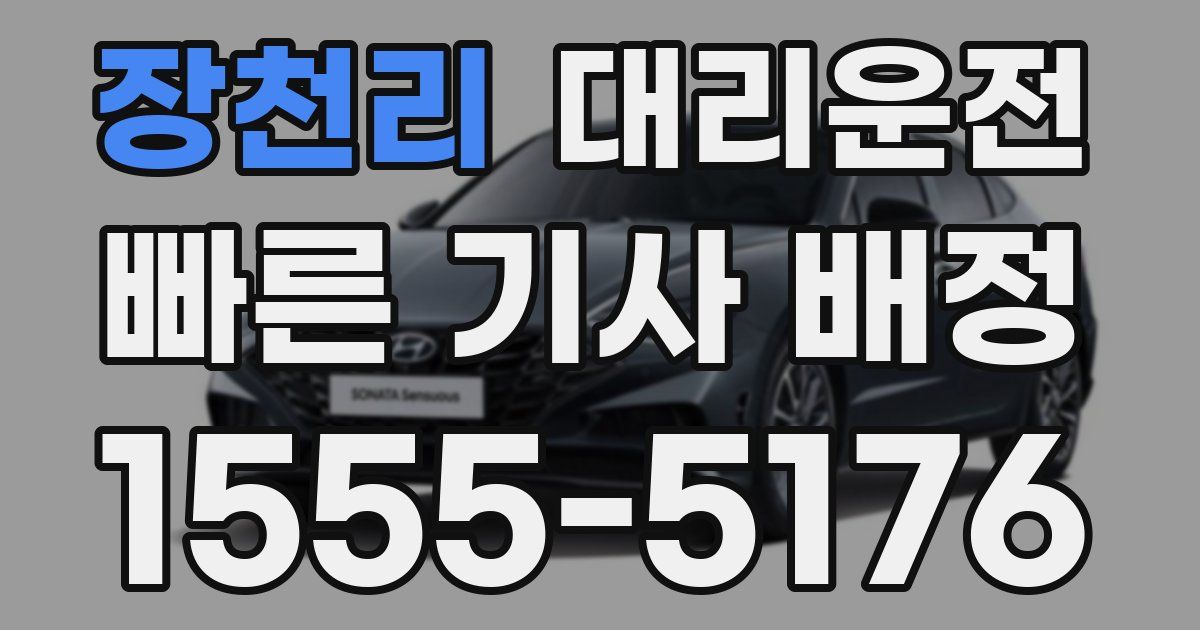 일일대리기사