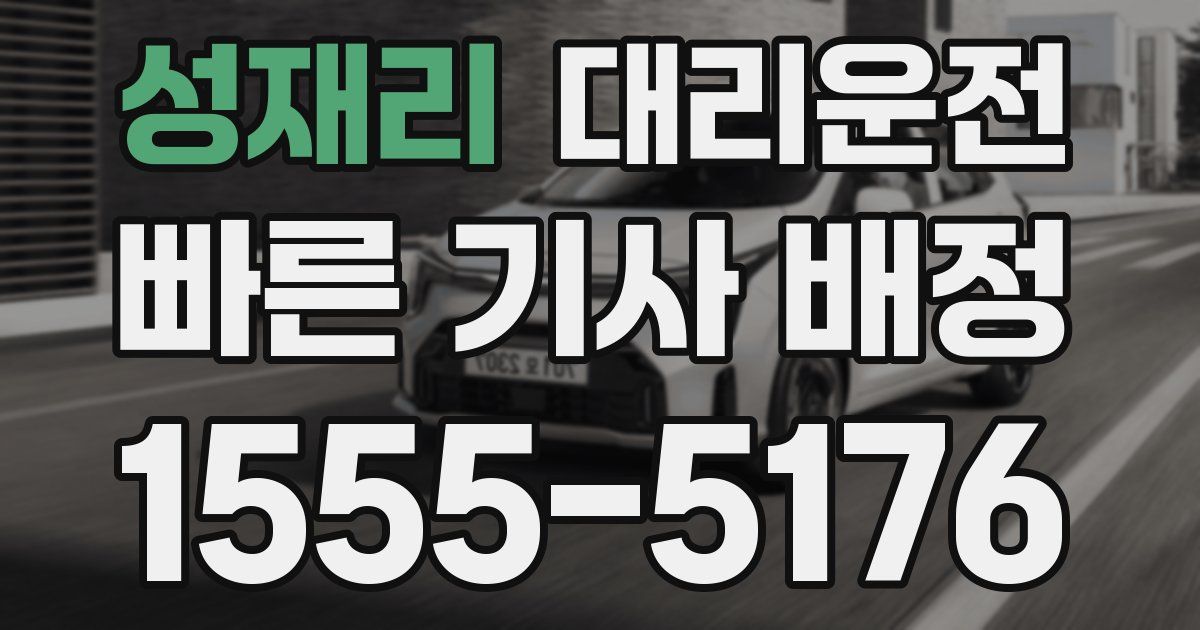 일일대리기사