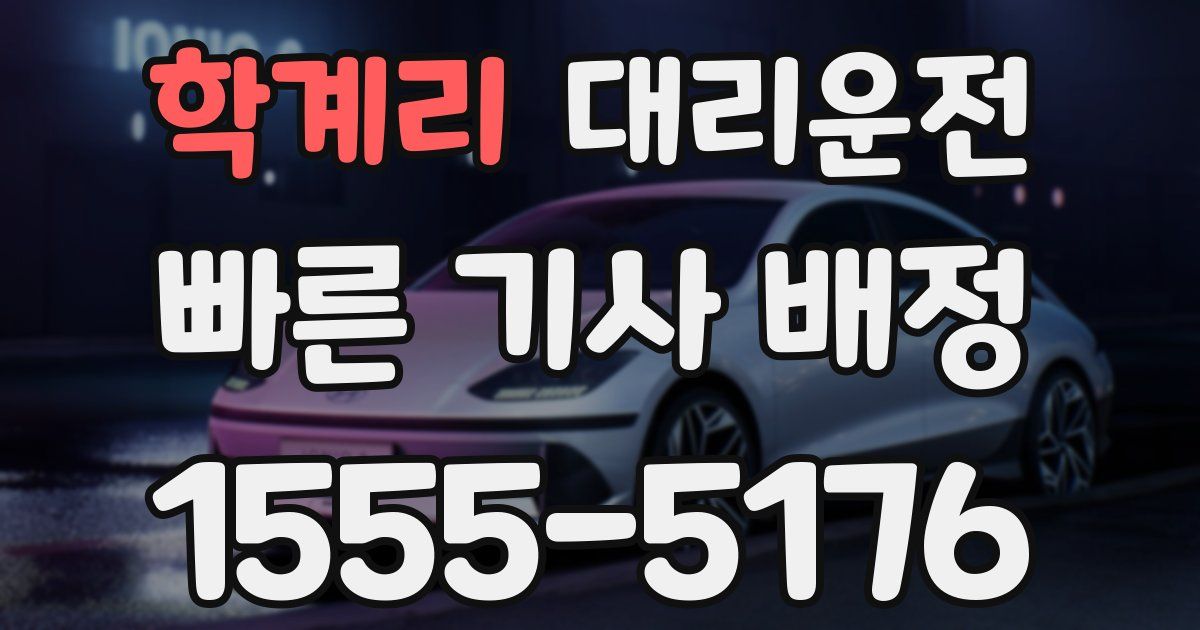 일일대리기사