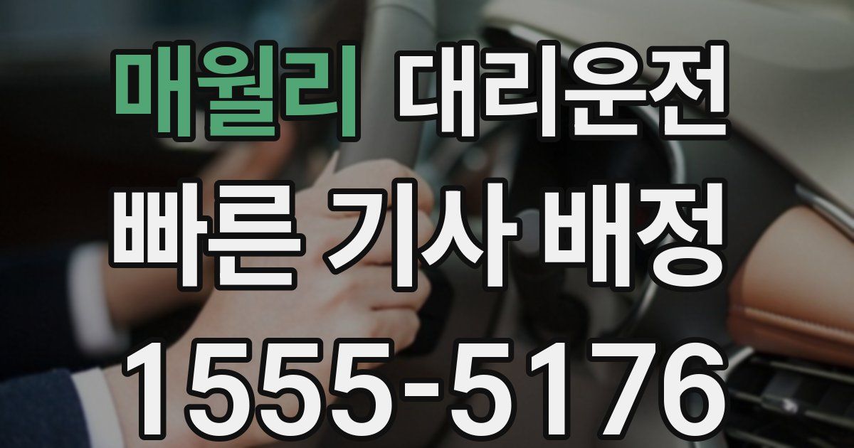 일일대리기사